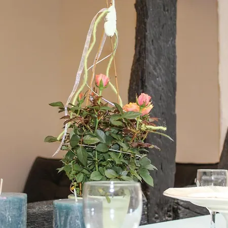 Awesome Apartment In Winningen With Wifi And 1 Bedrooms